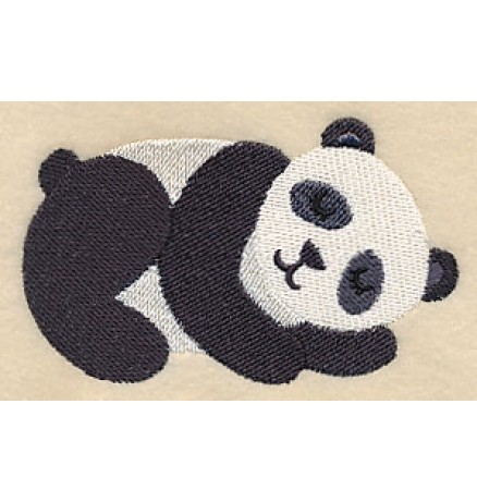 Sussikott nimetikandiga Panda